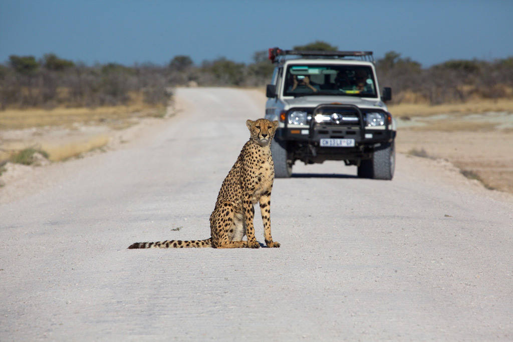 Фото: Намибия